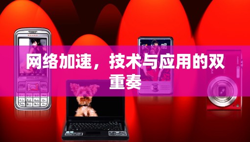 网络加速，技术与应用的双重奏