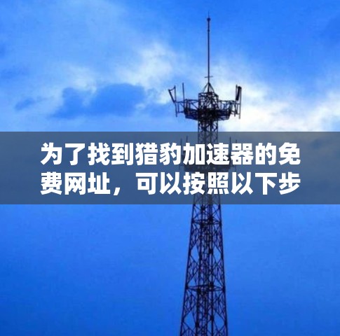 为了找到猎豹加速器的免费网址，可以按照以下步骤进行