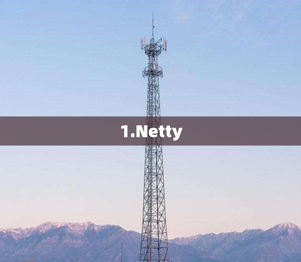 1.Netty