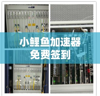 小鲤鱼加速器免费签到