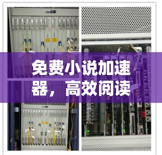 免费小说加速器，高效阅读的实用工具
