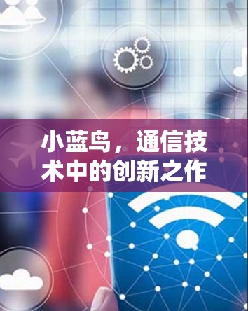 小蓝鸟,通信技术中的创新之作—加速器的崛起与价值