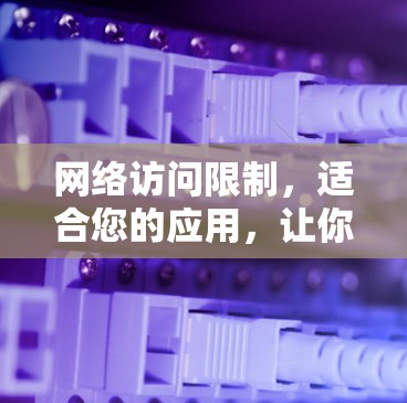 网络访问限制，适合您的应用，让你的网络访问更安心